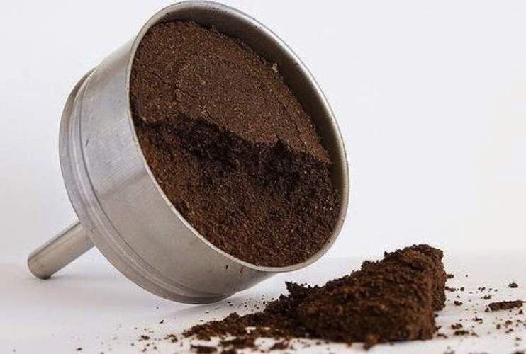 Los otros usos que puedes darle a los posos de café