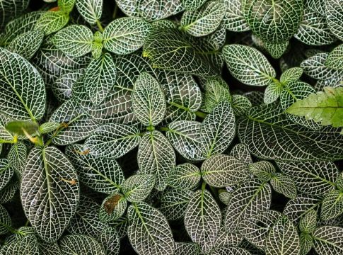 Economía/Finanzas.- Los tres fondos de Lonvia Capital pasan a estar clasificados en el artículo nueve del SFDR