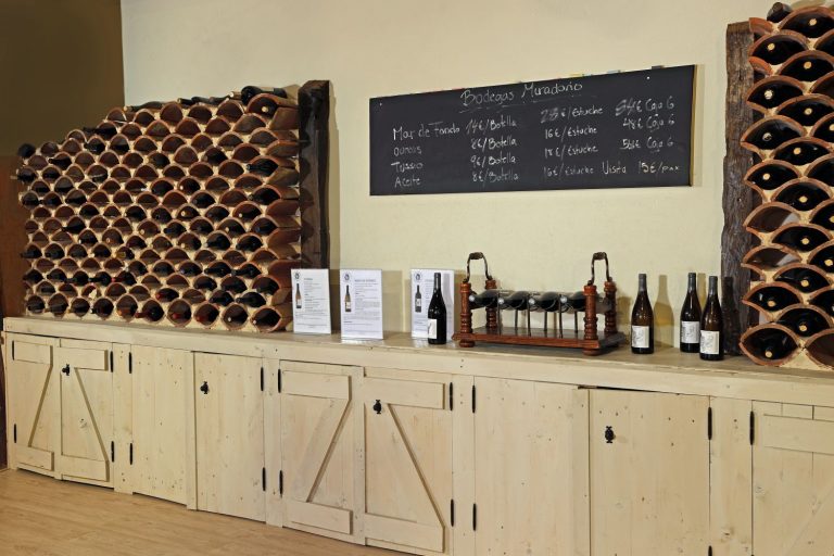 Tussío 2020, un vino de mar con personalidad cántabra