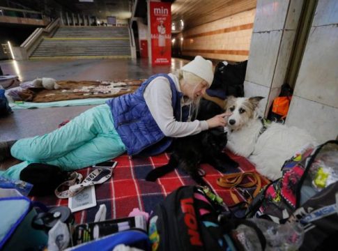 Progreso en Verde exige que se permita a los refugiados ucranianos hospedarse con sus animales