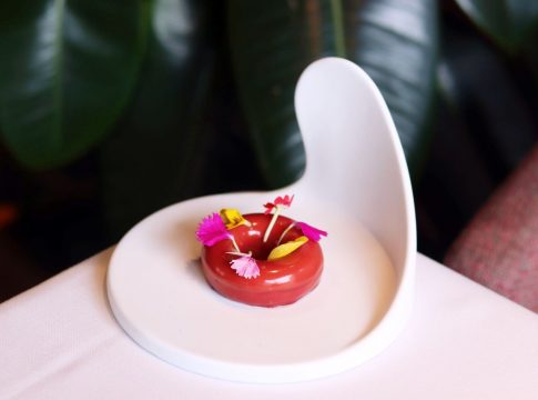 ROCACHO - micuit de pato (4)