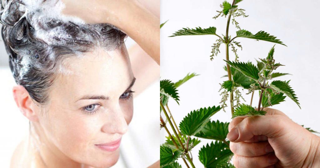 Buena para el cabello