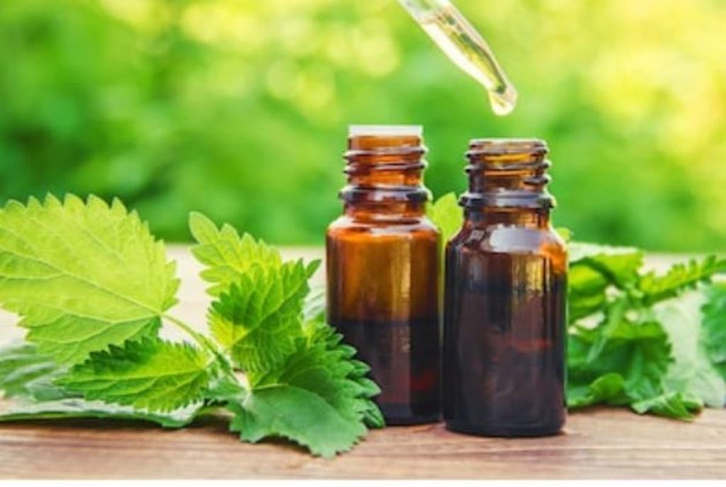 Propiedades de la ortiga para la salud