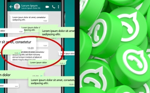 Dentro de las funciones de Whatsapp