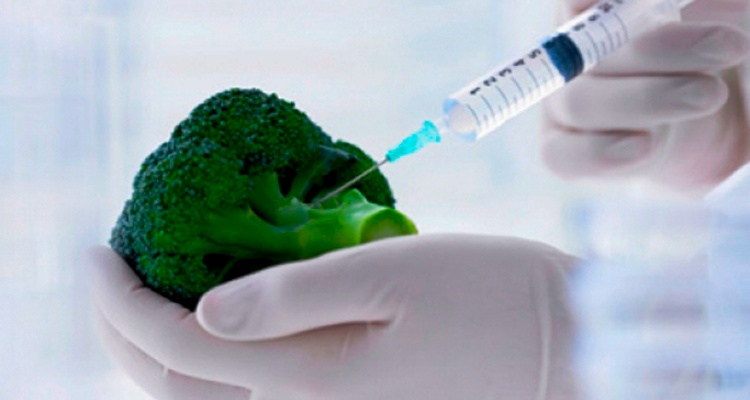 Cómo saber si estas frutas o verduras son transgénicas