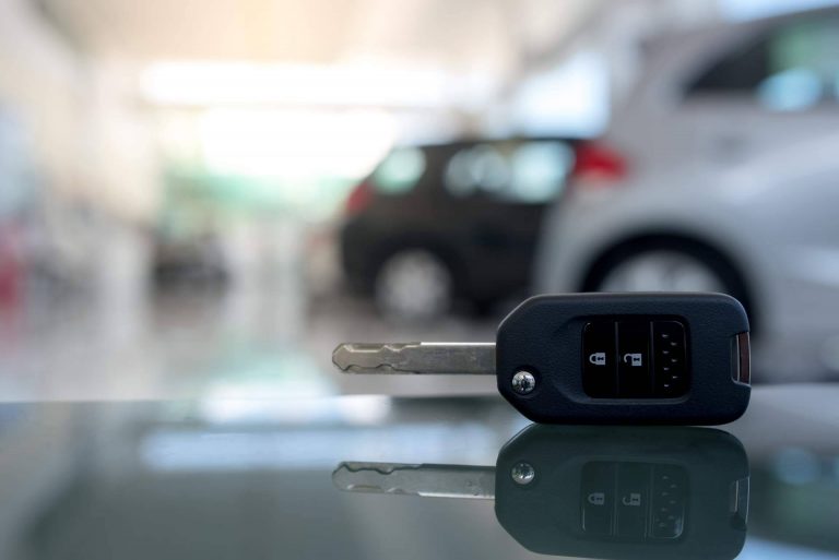 La flota de vehículos ECO de TodoRenting.es, una de las mejores opciones de movilidad urbana sostenible