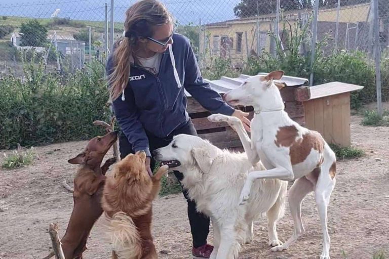 PERROBUENO, la guardería para perros que se centra en hacerlos felices