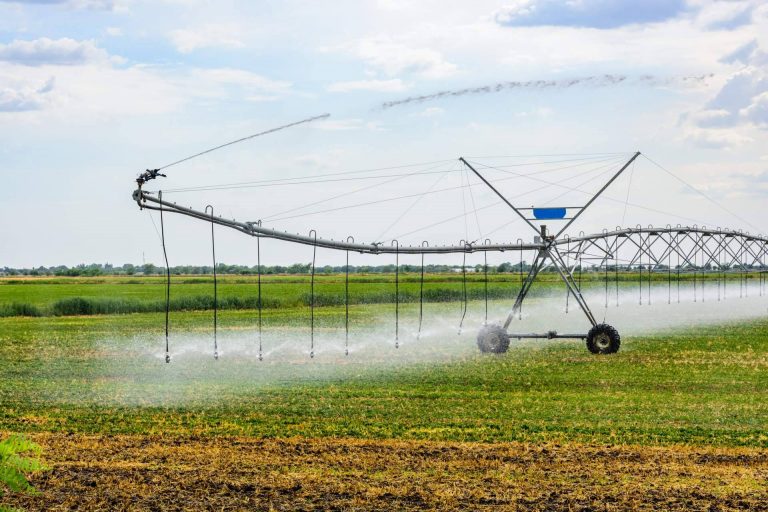 La sequía impulsa la necesidad de optimizar la gestión del agua destinada al riego
