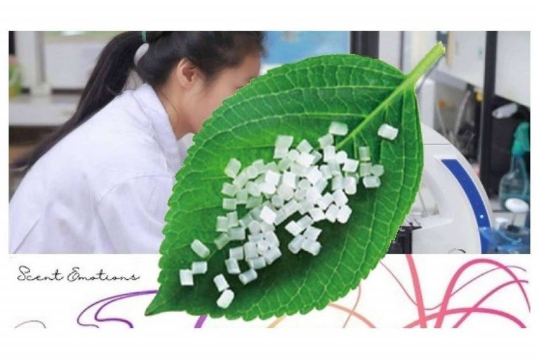 Scent Emotions participa en el Programa de Prevención y Gestión de Residuos y Recursos de Cataluña