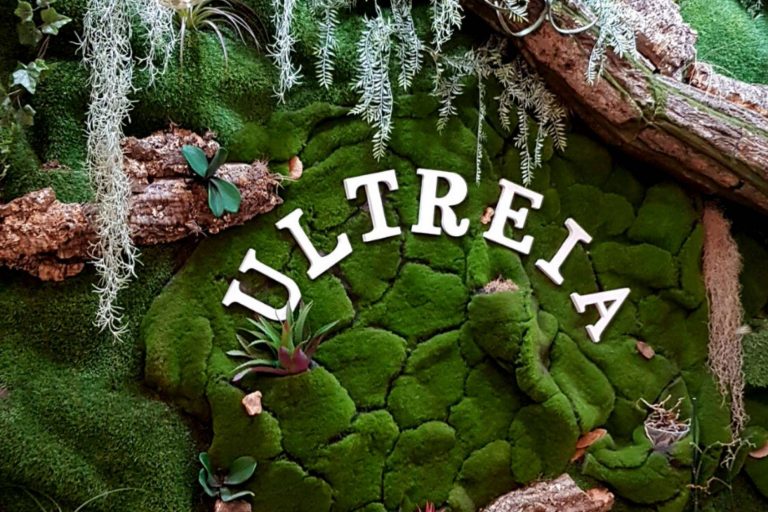 Una experiencia diferente con barros y productos naturales de la mano de Biopeluquería ULTREIA