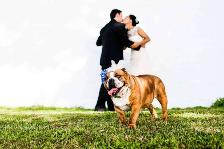 Fotos de boda diferentes y originales para dar un toque personal