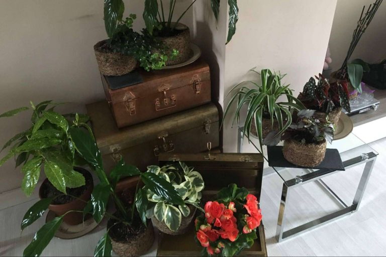 Dejar de usar plástico comienza a ser una prioridad para la salud humana y no una tendencia de decoración