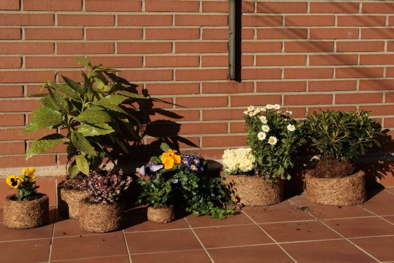 Xaxim pots ayuda a evitar la sequía