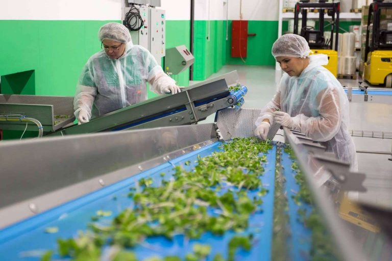 Certificación y registro de la Huella de Carbono de las compañías en la Región de Murcia