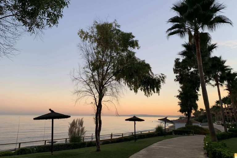 Certificado de sostenibilidad Bioscore para acreditar y demostrar el compromiso social y medioambiental del sector hostelero, con Made in Málaga