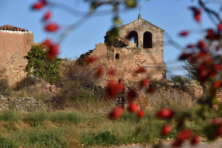 La importancia de compensar la huella de carbono en España