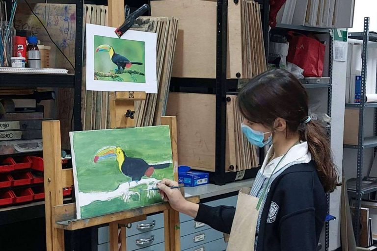 Aprender a dibujar a través de las clases de dibujo del centro de formación Estudio Ilógico