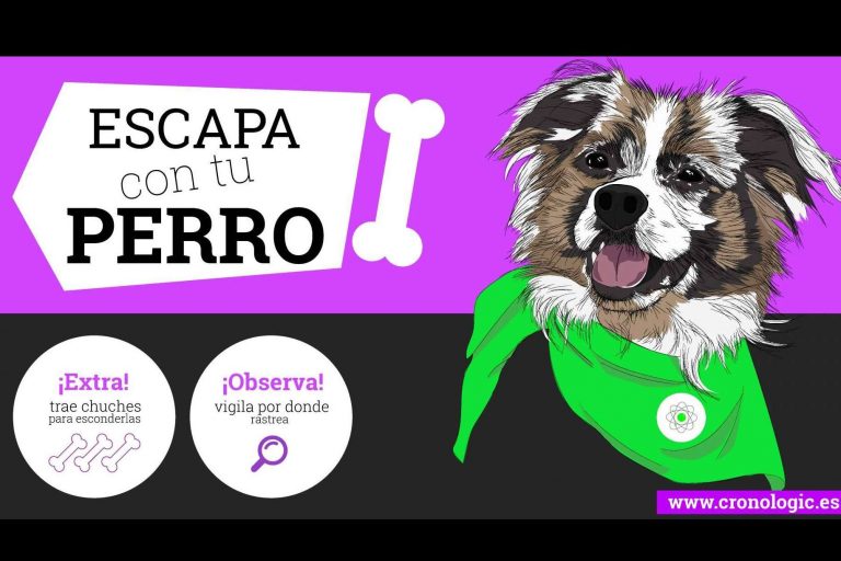 Cronologic, un escape room dogfriendly en Barcelona