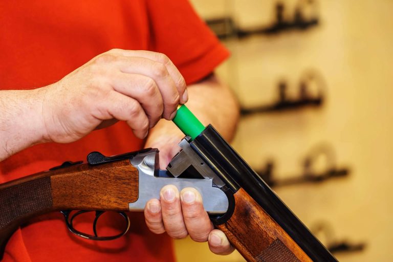 Tener armas y animales peligrosos requiere la aprobación de pruebas psicofísicas