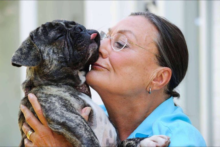 Los perros invisibles también necesitan una casa