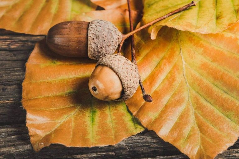 Ecoescuela lucha contra el cambio climático a través del poder contagioso del ejemplo