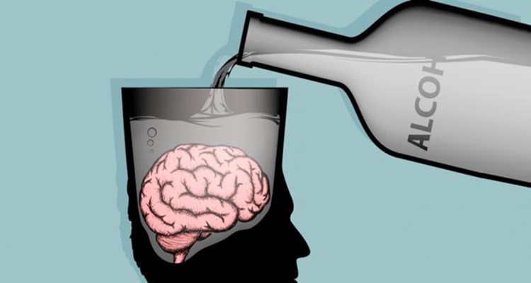 Neuronas alcohol resaca cerebro
