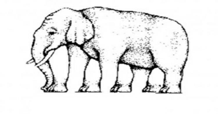 Cuidado con lo que ves: los efectos ópticos más impresionantes