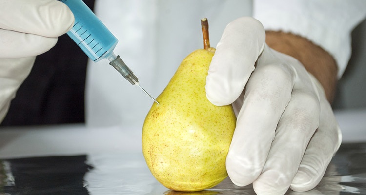 Cómo saber si estas frutas o verduras son transgénicas