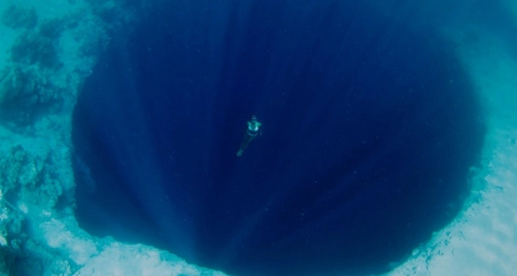 10 fotos que te harán dudar de nadar en el mar