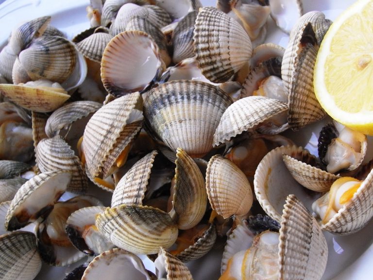 El número de calorías que tiene una lata de berberechos