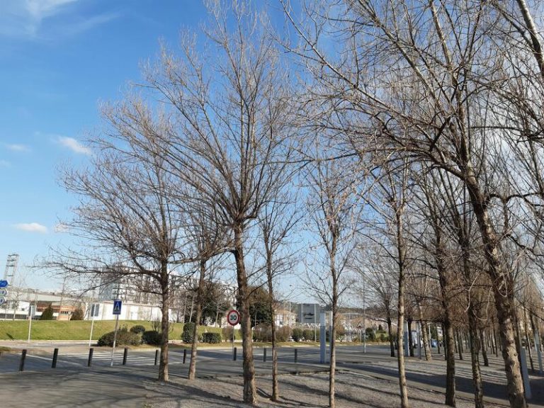 Hoy, subida de temperaturas. El tiempo del 7 de abril