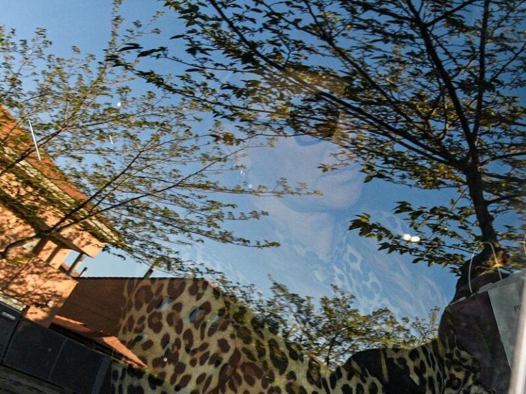 Las primeras imágenes de Belén Esteban tras romperse la tibia y el peroné en 'Sálvame'