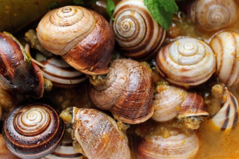 Caracoles a la madrileña: el plato que casi nadie hace y que sale divino