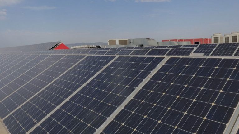 Damm, primera compañía cervecera española en unirse a la iniciativa global RE100