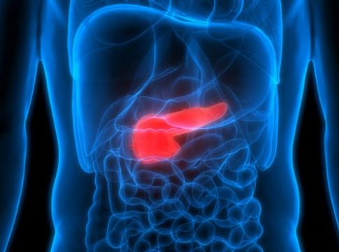 Qué es la amilasa 1 Qué es la amilasa