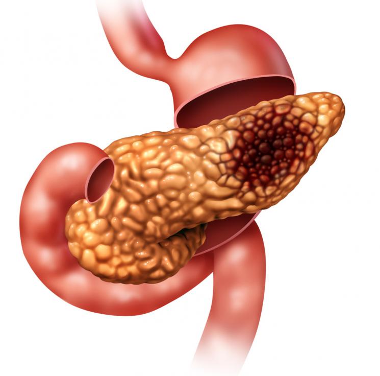 Qué es la amilasa 1 La amilasa