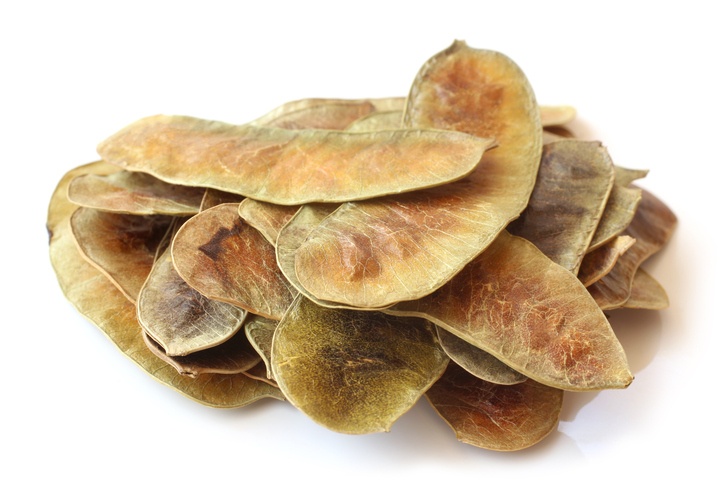 ¿Cuáles son los principios activos que posee la cassia?