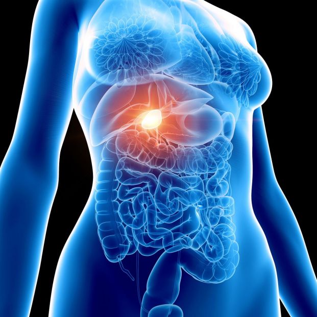 ¿Cuáles son las enfermedades que se producen en la vesícula biliar?