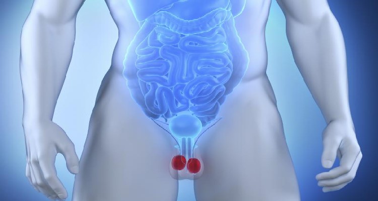 Estos son los defectos del cuerpo humano