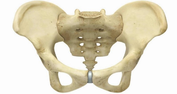 Estos son los defectos del cuerpo humano