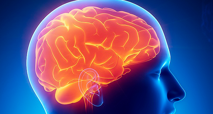 Alzheimer enfermedad neurodegenerativa fresas