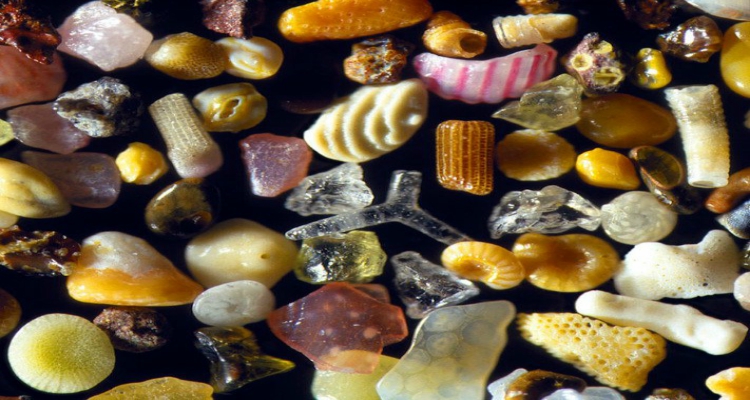 Cosas alucinantes vistas bajo un microscopio