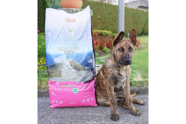 La alimentación adecuada para cachorros de razas grandes y gigantes, de la mano de Lenda