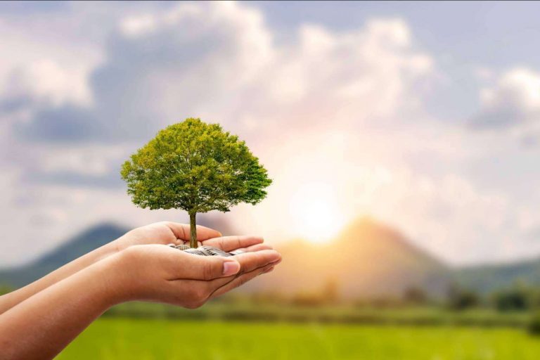 La importancia de marcar objetivos de sostenibilidad ambiental en las empresas