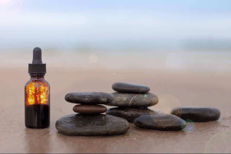 ¿Qué es la fitoterapia?, un elemento básico de la naturoterapia