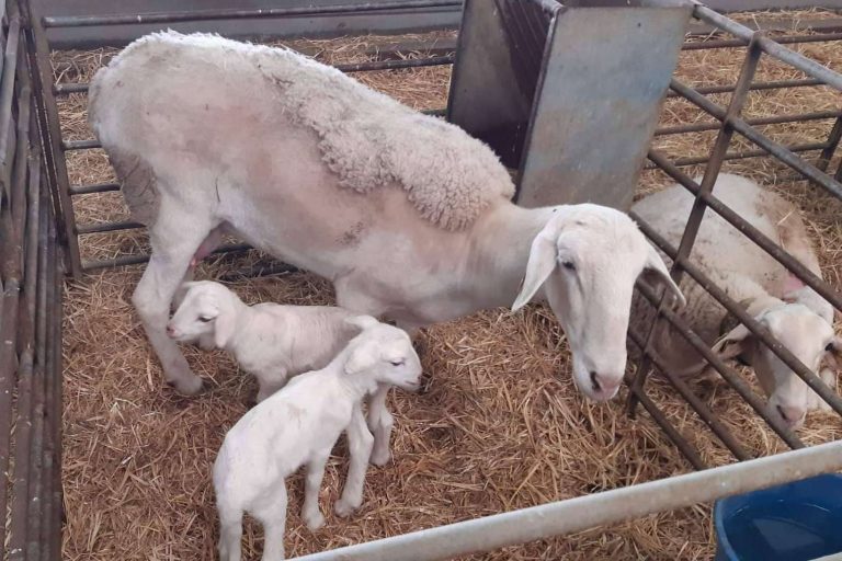 'Fabricando Experiencias' es una comunidad de ocio y turismo formada por productores artesanos del país