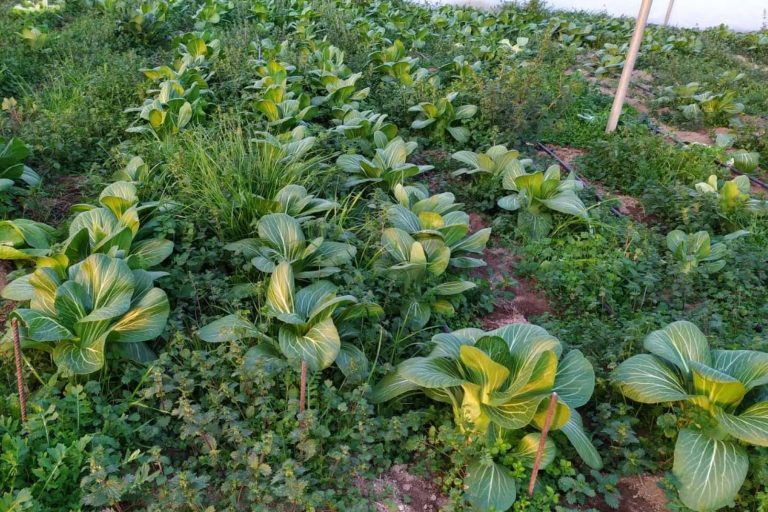 8 planes originales y sostenibles (con y sin niños) para recibir a la primavera por todo lo alto