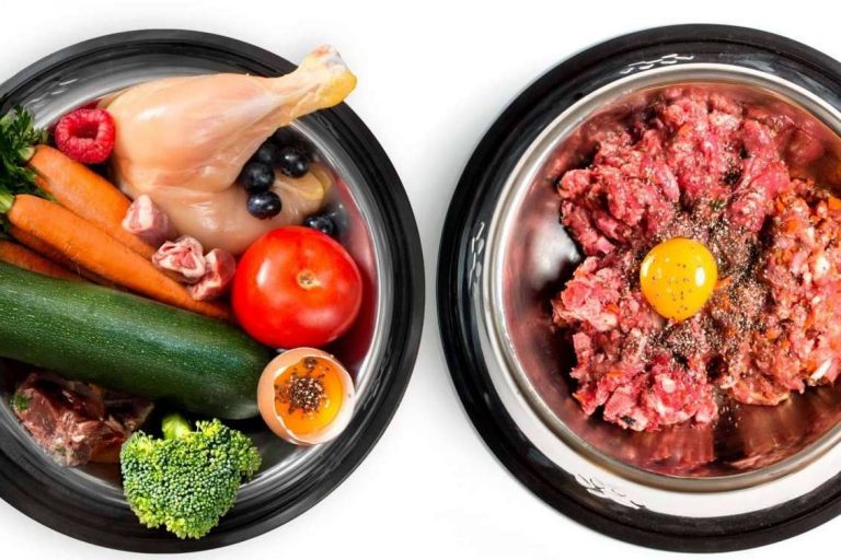 ¿Qué beneficios tiene la dieta BARF para los perros?
