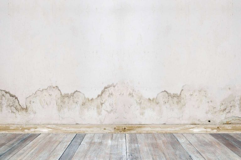 Cómo eliminar humedades por capilaridad de forma definitiva, de la mano de Preactiva