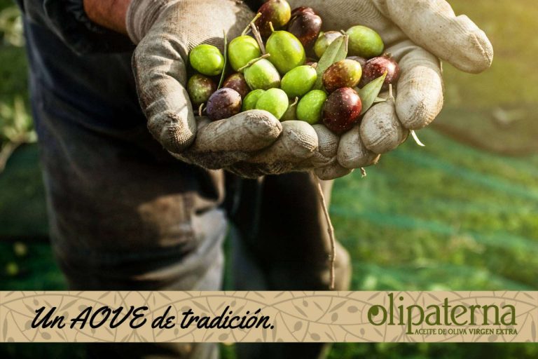 El aceite de oliva virgen de Olipaterna es galardonado en la octava edición del Premio al Mejor AOVE de la provincia de Huelva